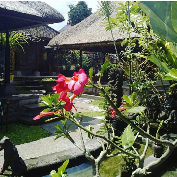 Family Guest House Ubud Esterno foto
